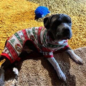 Buc-ee’s Dog Onesie